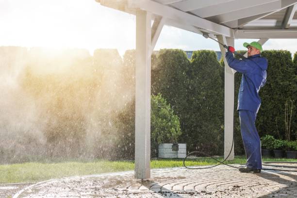 Best Spring Cleaning  in Point Pleasant, WV